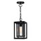 Cwi Lighting Mulvane 1 Light Black Outdoor Hanging Light 0415P7-1-101 - alternate 1